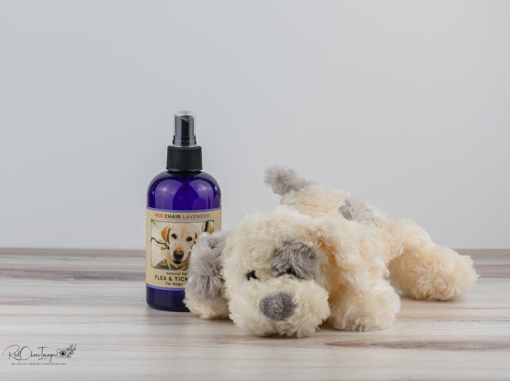 All natural flea spray for clearance dogs